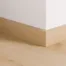 8254
